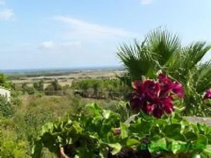 Asinara 4*