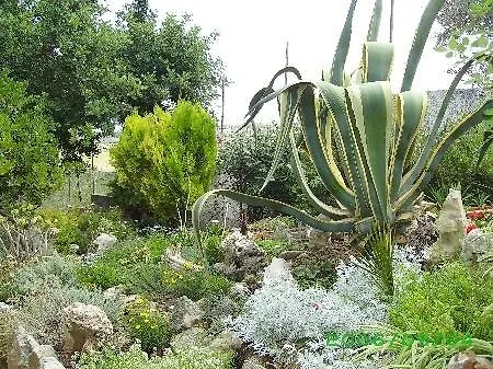 Bed & Breakfast Asinara *